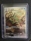Omanyte