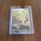 Omanyte
