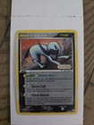 Absol