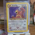 Ursaring