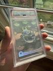 Pokemon At Play