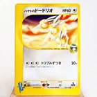 Falkner's Dodrio