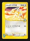 Falkner's Dodrio