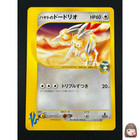 Falkner's Dodrio