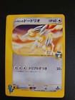 Falkner's Dodrio