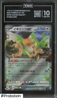 Squawkabilly ex