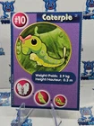 Caterpie