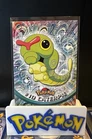 Caterpie