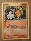 Torchic