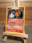 Torchic