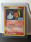 Torchic