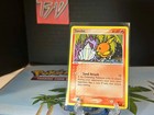 Torchic