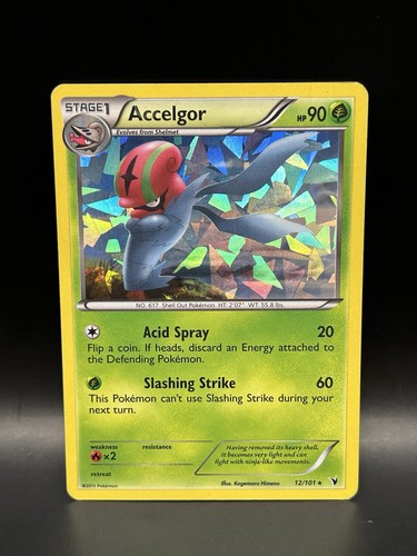 Accelgor