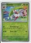 Steenee