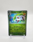 Steenee