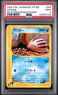 Swinub