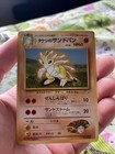 Brock's Sandslash