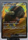 Bouffalant Ex