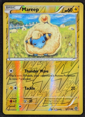 Mareep