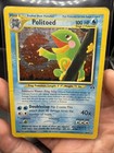 Politoed