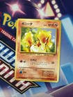 Ponyta