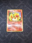 Ponyta