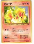Ponyta