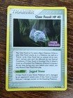 Claw Fossil