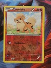 Growlithe
