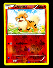 Growlithe