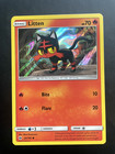 Litten