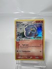Shelgon