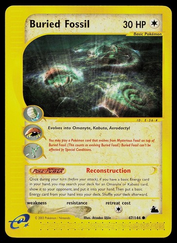 Buried Fossil