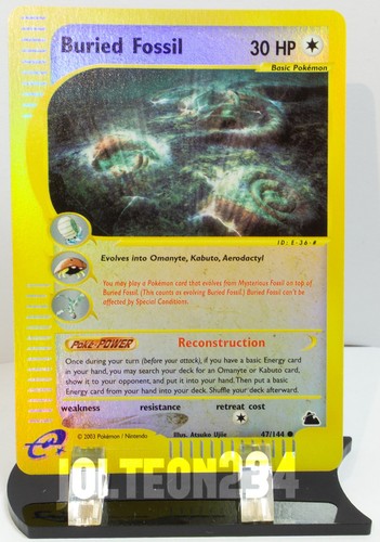 Buried Fossil
