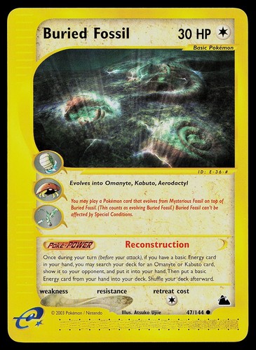 Buried Fossil