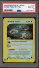 Buried Fossil
