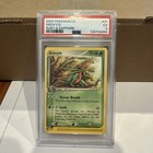 Grovyle