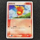Torchic