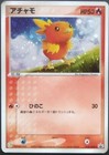 Torchic