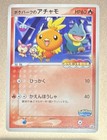 Torchic