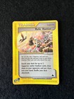 Relic Hunter