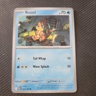 Buizel