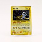 Raikou
