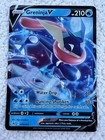 Greninja V