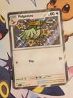Pidgeotto