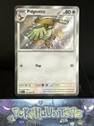 Pidgeotto