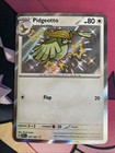Pidgeotto