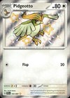 Pidgeotto