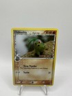 Chikorita