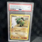 Chikorita